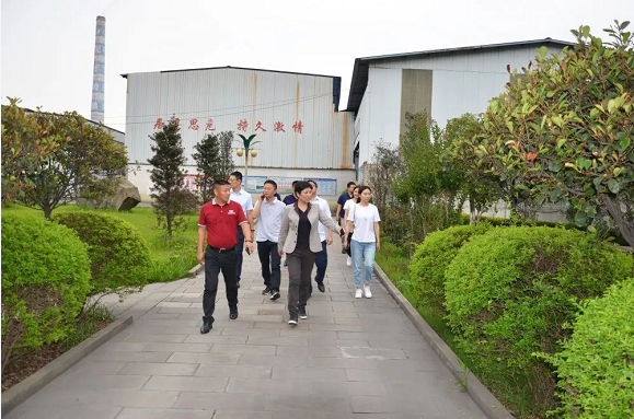 泸州好博网页版玻璃公司.png