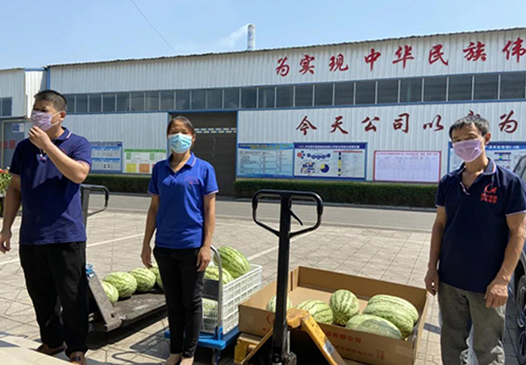 好博网页版集团组织开展夏日送清凉系列活动